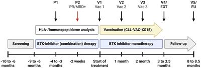 iVAC-XS15-CLL01: personalized multi-peptide vaccination in combination with the TLR1/2 ligand XS15 in CLL patients undergoing BTK-inhibitor-based regimens